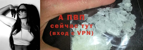 spice Абаза