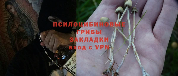 прущая мука Снежногорск