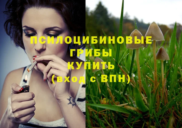 МДПВ Слюдянка