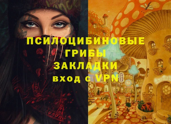 прущая мука Снежногорск