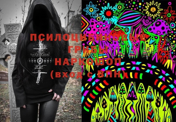 spice Абаза