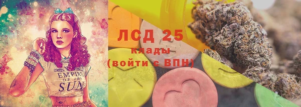 spice Абаза